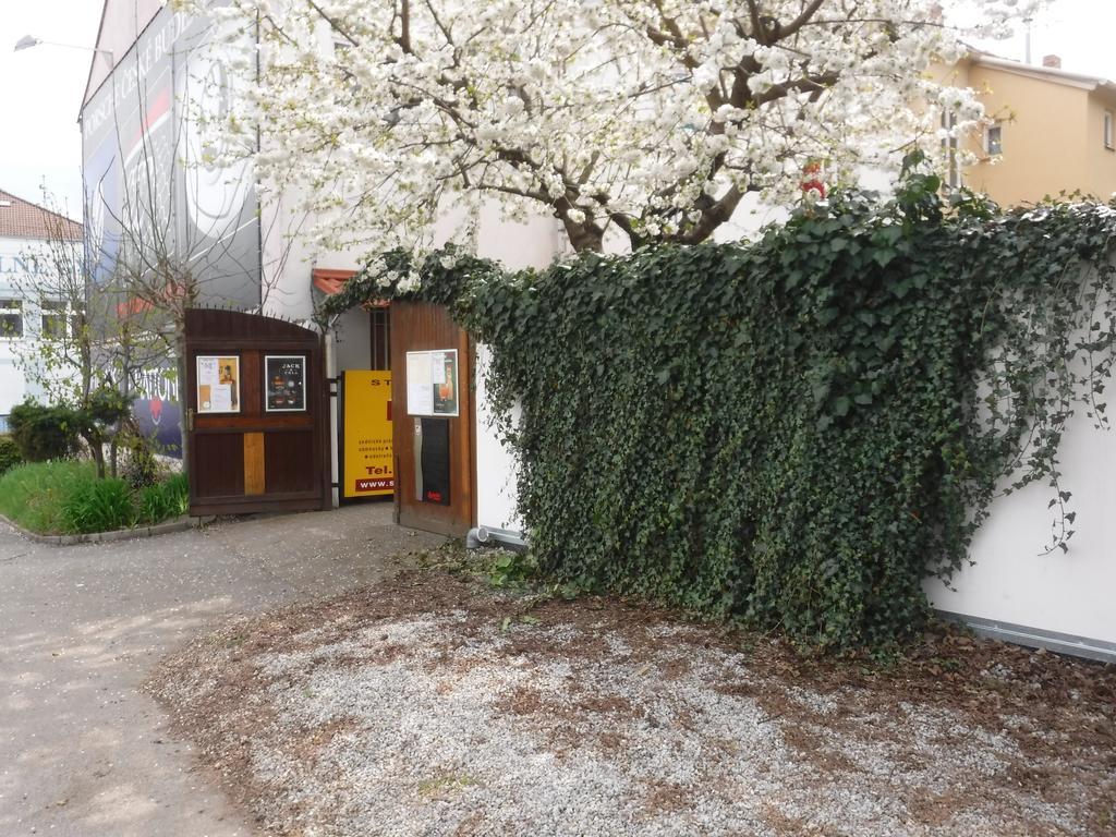 Pension Macelis Ceske Budejovice Exterior photo